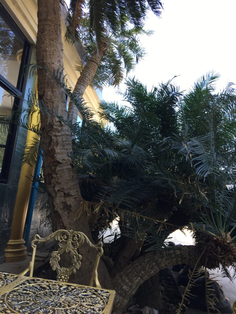 シーチャン島釣り場