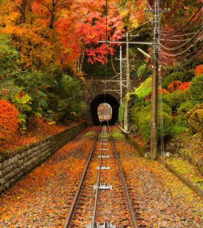 高尾山 紅葉 ケーブルカー,高尾山 紅葉 リフト,高尾山 紅葉 混雑