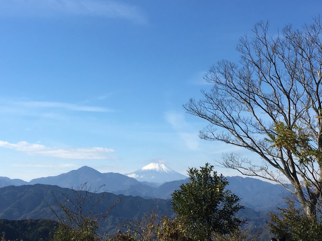 高尾山 正月 混み具合,高尾山 混雑回避,高尾山 ご来光 スポット