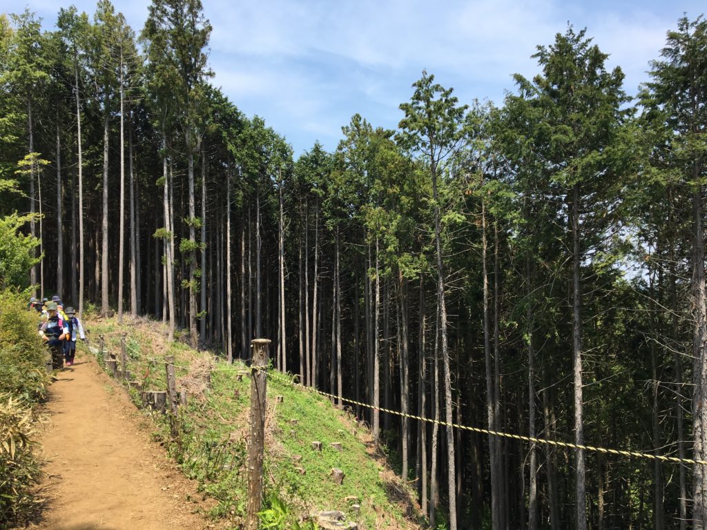 陣馬山 高尾山 きつい,陣馬山 高尾山 食事,陣馬山 高尾山 装備